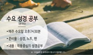 수요 성경공부